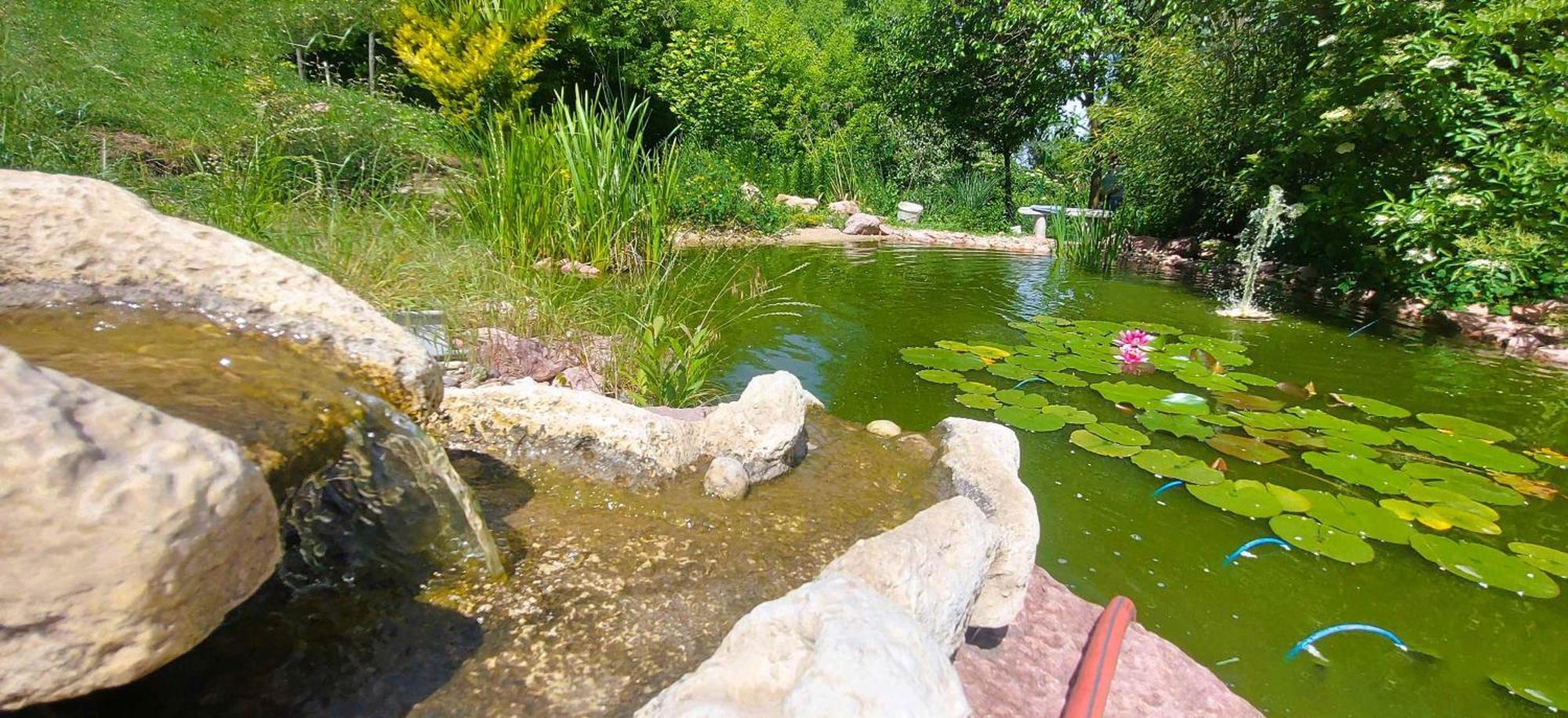 Villa Verteskacsa Vertesacsa Ngoại thất bức ảnh
